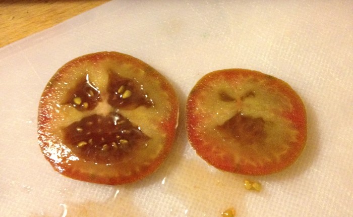 The Bicycle, the Pope, and the&nbsp;Sundress