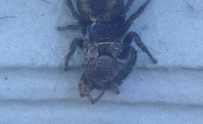 Why Grown Folk Shouldn’t Do&nbsp;Math